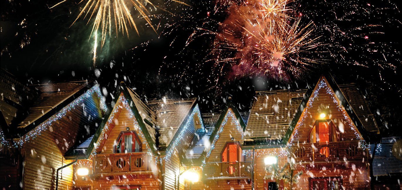 Silvester © byrdyak - stock.adobe.com