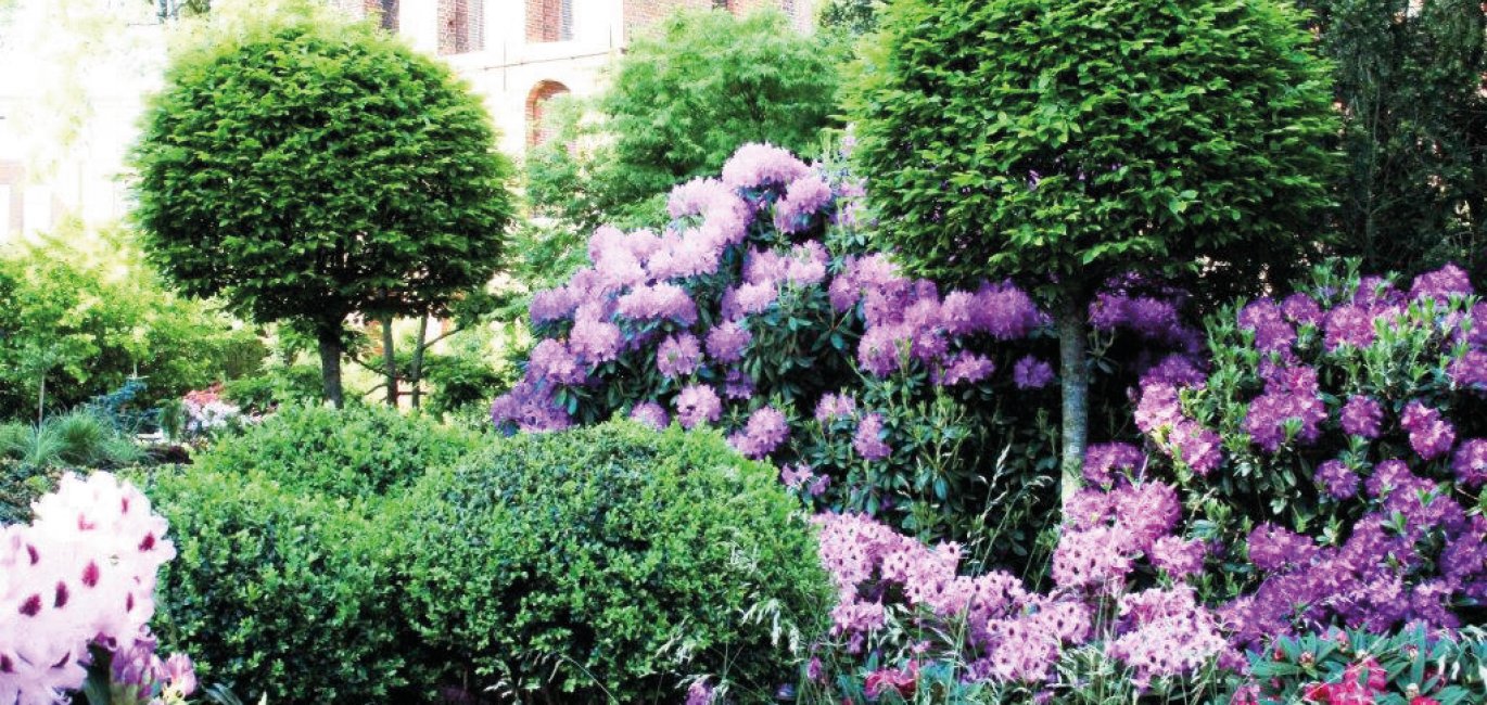 Rhododendronpark Westerstede © Stadt Westerstede