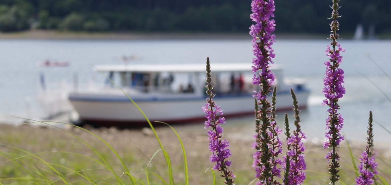 Schifffahrt auf dem Möhnesee © Wirtschafts- und Tourismus GmbH Möhnesee