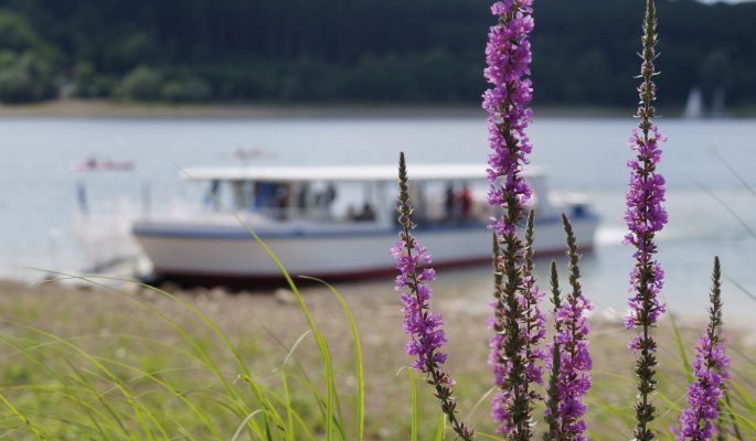 Schifffahrt auf dem Möhnesee © Wirtschafts- und Tourismus GmbH Möhnesee