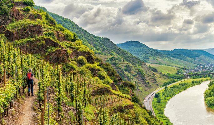 Wandern an der Mosel entlang © heiwa - stock.adobe.com
