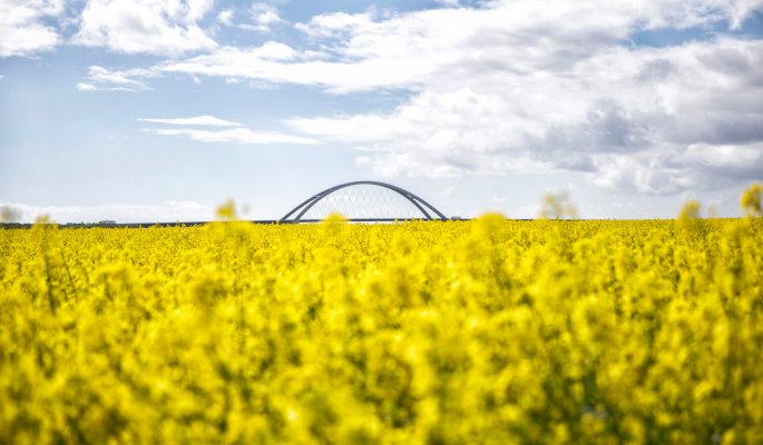 Fehmarnsundbrücke  © Tourismus-Service Fehmarn/Thies Raetzke