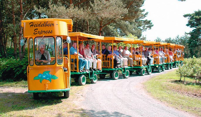 Heidelbeerplantage Wassermann - Heidelbeerexpress © www.wassermann-heidelbeeren.de