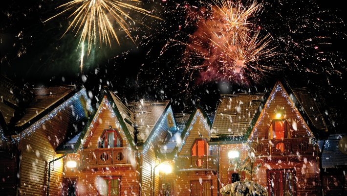Silvester © byrdyak - stock.adobe.com