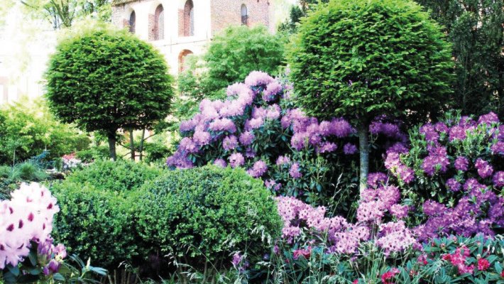 Rhododendronpark Westerstede © Stadt Westerstede