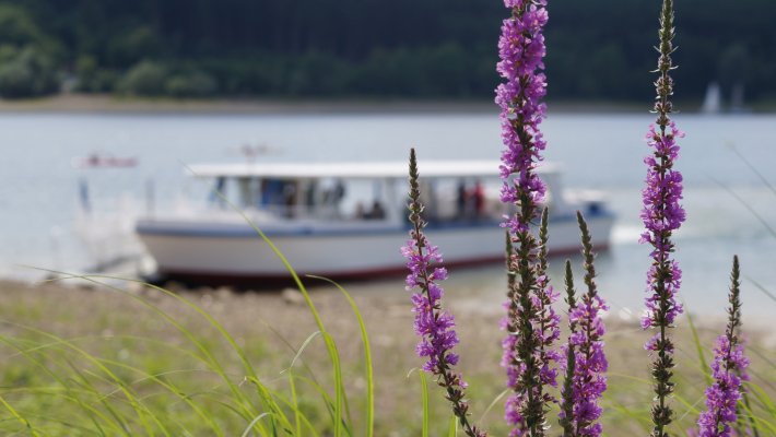 Schifffahrt auf dem Möhnesee © Wirtschafts- und Tourismus GmbH Möhnesee