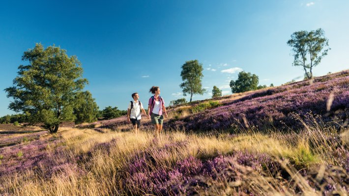 Wanderer in der Lüneburger Heide © DZT/Lüneburger Heide GmbH/Dominik Ketz