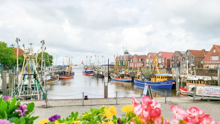 Hafen von Neuharlingersiel © Maximilian - stock.adobe.com